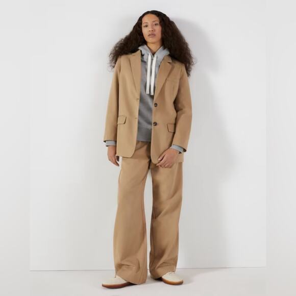 The Draper Pleated Pant in Buttersmooth Ash Brown NWT Everlane - Picture 2 of 8